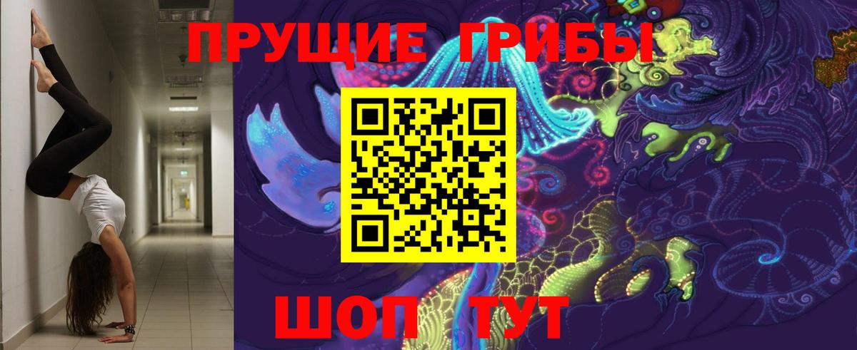 Псилоцибиновые грибы Cubensis  Галлюциногенные грибы Psilocybine cubensis  Вход с VPN  Саров 